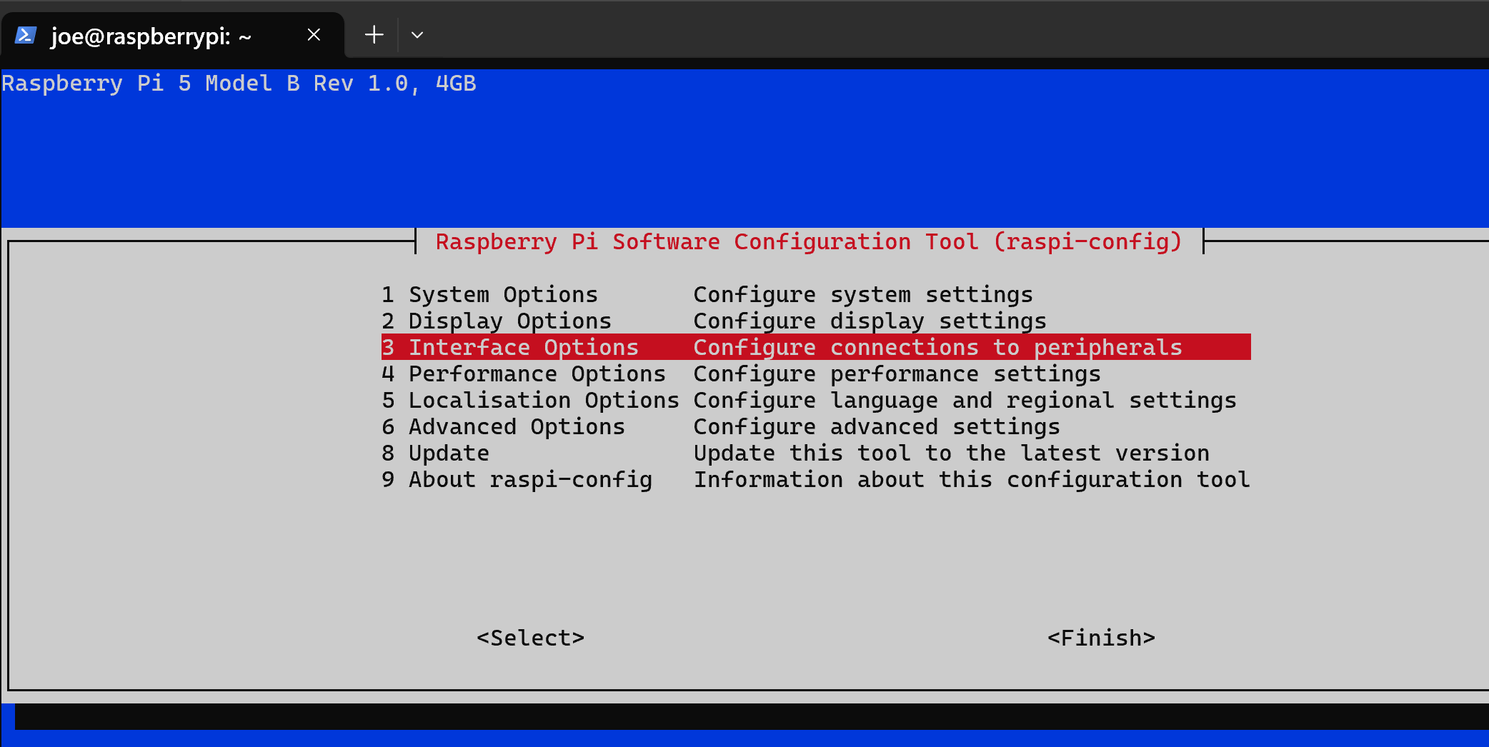 Enable VNC in raspi-config